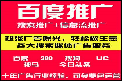某企业通过SEO和SEM双管齐下实现业绩飞跃的案例